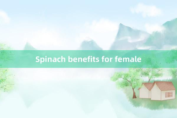 Spinach benefits for female