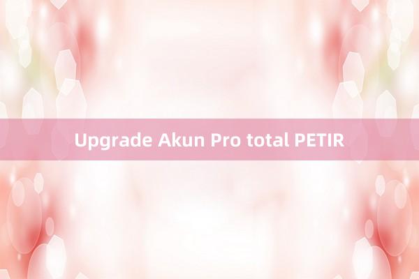 Upgrade Akun Pro total PETIR