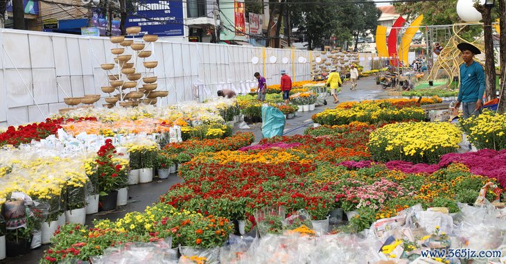 Ngắm những hình ảnh đầu tiên của đường hoa nghệ thuật Cần Thơ - Ảnh 1.